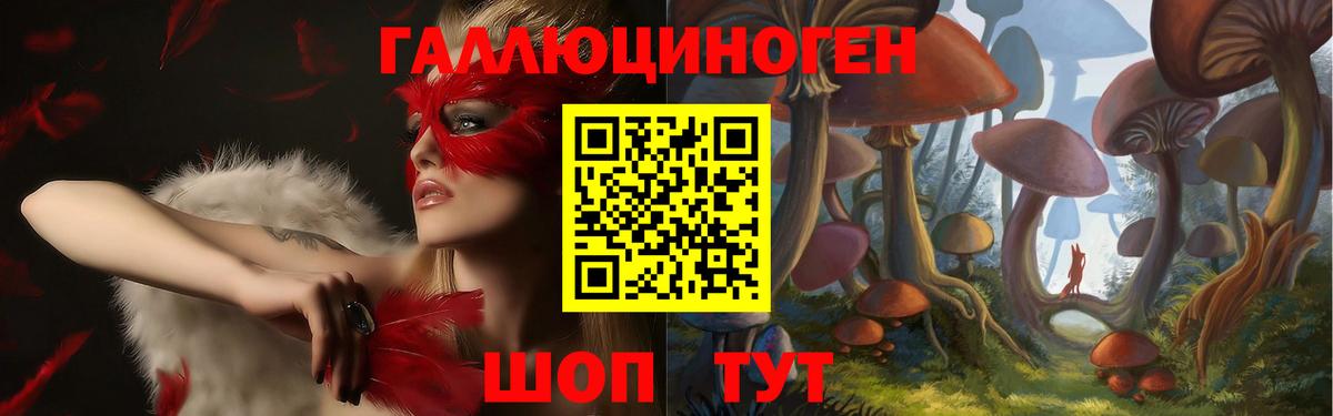 где можно купить   Галлюциногенные грибы MAGIC MUSHROOMS  Вход с VPN  Гусев 